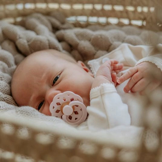 Bibs Schnuller 2er Pack Boheme - Naturkautschuk 6-18 M - Woodchuck / Blush 5 Bibs Schnuller 2er Pack Boheme - Naturkautschuk 6-18 M - Woodchuck / Blush – Bild 5