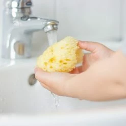 Rotho Babydesign BIO Mittelmeer-Naturschwamm -Baden & Waschen Verkäufe rotho babydesign bio mittelmeer naturschwamm 20438009901 d3